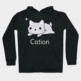 Funny Cat Science Hoodie